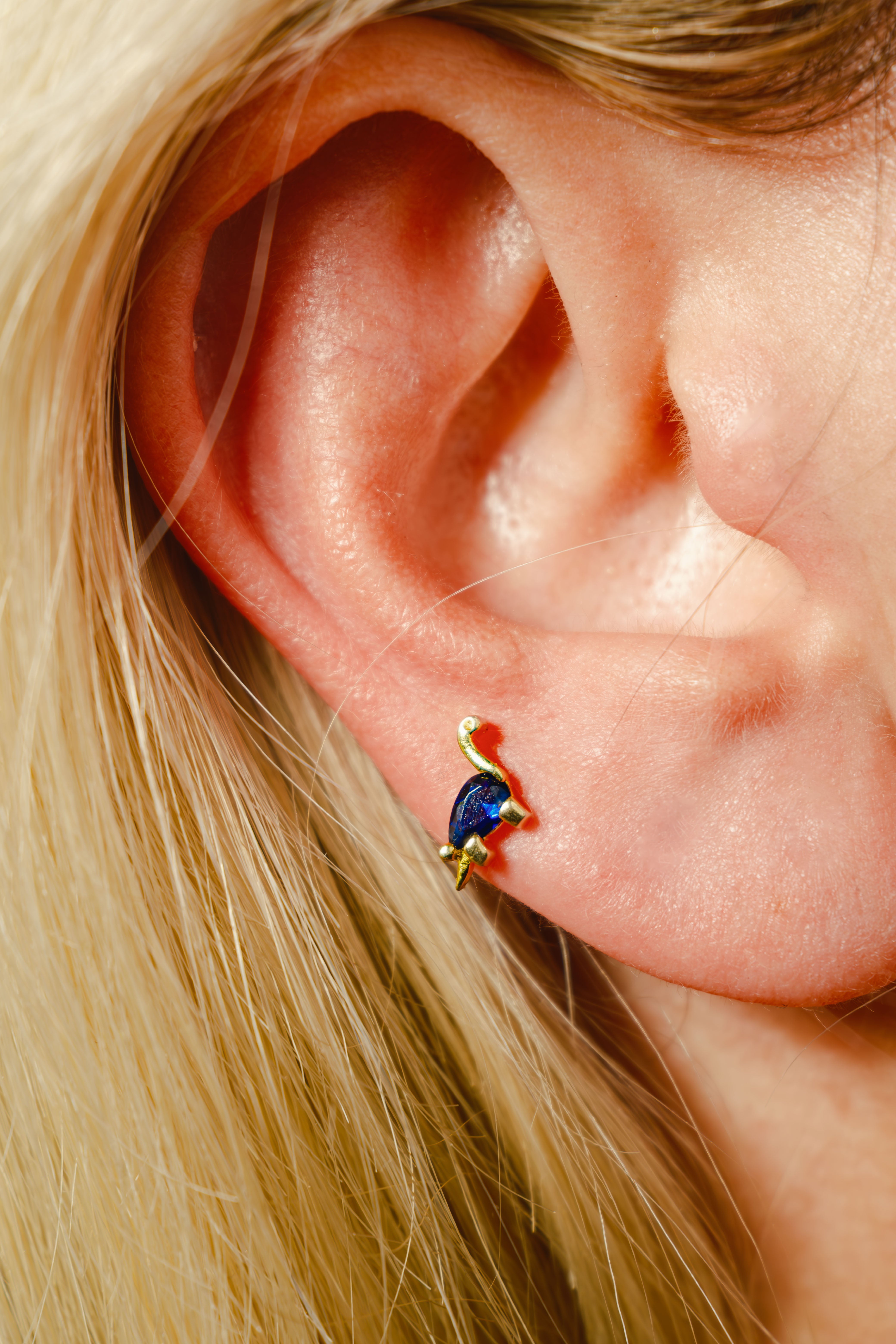 Blue Dinazor Piercing